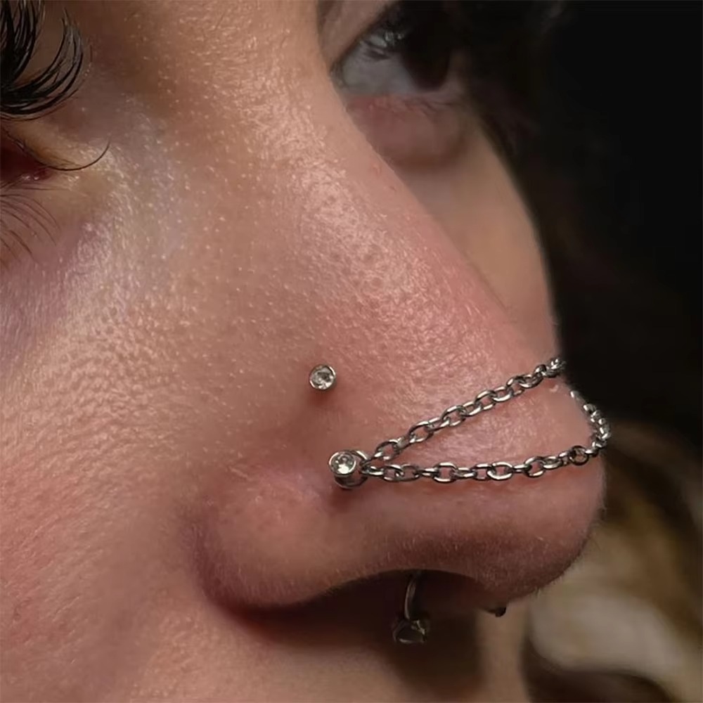 Fashion Titanium Nose Chain Do - Body Jewelry Titanium recension och pris